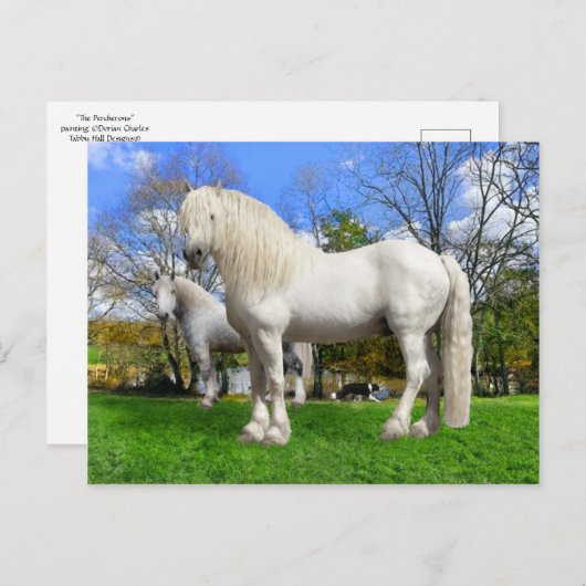 "The Percherons" Briefkaart (Voorkant / Achterkant)