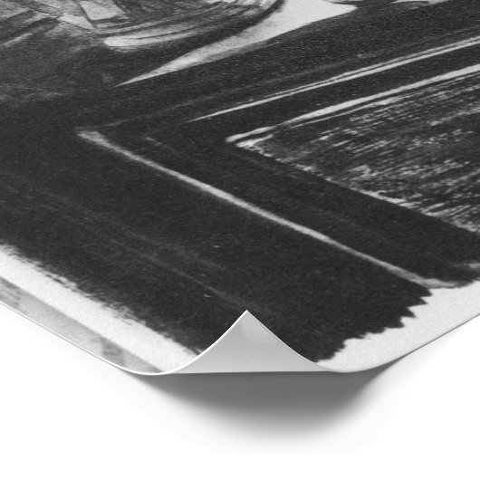 The Pharmacist Homais Poster (Hoek)