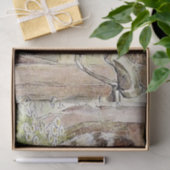 The Pie and the Patty Pan van Beatrix Potter Tissuepapier (Geschenk)