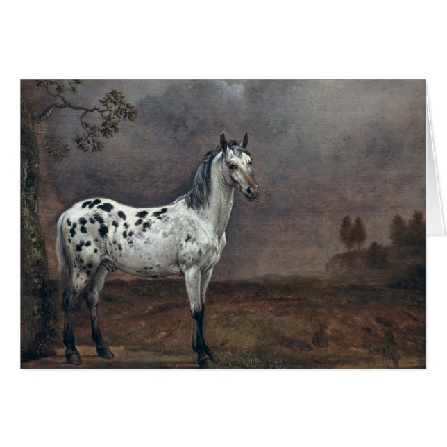 The Piebald Horse, 1653 (Voorkant Horizontaal)