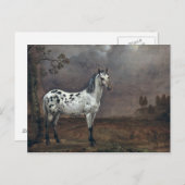 The Piebald Horse, 1653 Briefkaart (Voorkant / Achterkant)
