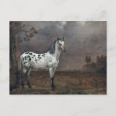 The Piebald Horse, 1653 Briefkaart (Voorkant)