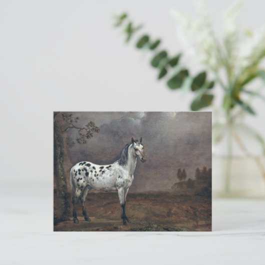 The Piebald Horse, 1653 Briefkaart (Staand voorkant)