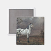 The Piebald Horse, 1653 Magneet (Voorkant / Achterkant)