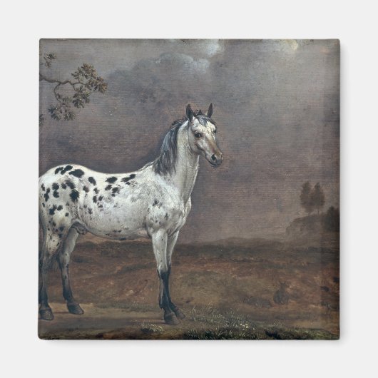 The Piebald Horse, 1653 Magneet (Voorkant)