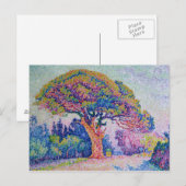 The Pine Tree at St. Tropez, 1909 Briefkaart (Voorkant / Achterkant)