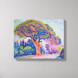 The Pine Tree at St. Tropez, 1909 Canvas Afdruk