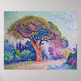 The Pine Tree at St. Tropez, 1909 Poster