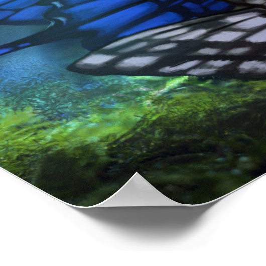 The Pixie's Queen Print (Hoek)