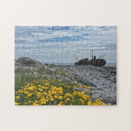 The Plassey Shipwreck on Inis Oirr, Ireland Puzzle Legpuzzel (Horizontaal)