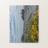 The Plassey Shipwreck on Inis Oirr, Ireland Puzzle Legpuzzel (Verticaal)