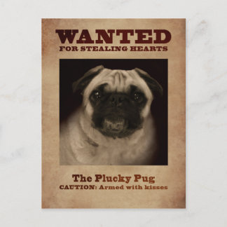 The Plucky Pug Postcard Briefkaart