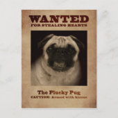 The Plucky Pug Postcard Briefkaart (Voorkant)