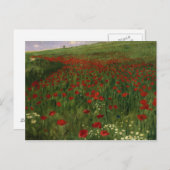 The Poppy Field, 1896 Briefkaart (Voorkant / Achterkant)