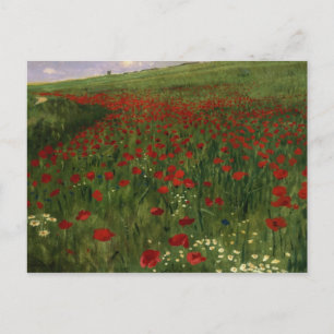 The Poppy Field, 1896 Briefkaart