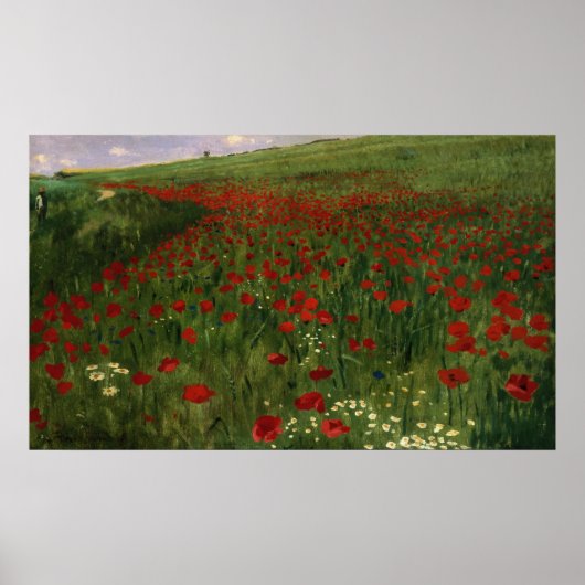 The Poppy Field, 1896 Poster (Voorkant)