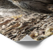 The Pose Poster (Hoek)