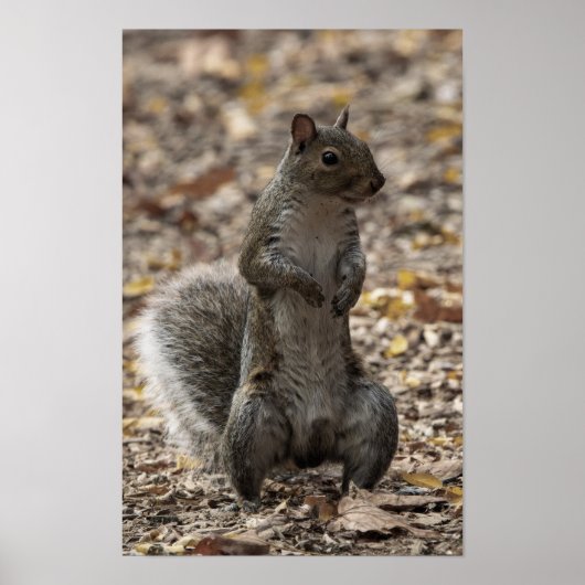 The Pose Poster (Voorkant)