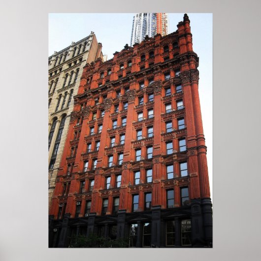The Potter Building, New York City, medium Poster (Voorkant)