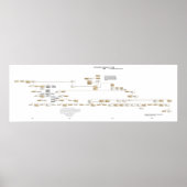 The Powhatan Confederacy Tree 2009 Poster (Voorkant)