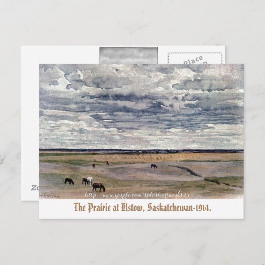 "The Prairie at Elstow, Saskatchewan-1914" Briefkaart (Voorkant / Achterkant)
