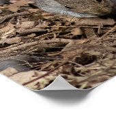 The Prowl Poster (Hoek)