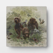 The Pudelpointer Fotoplaat (Voorkant)