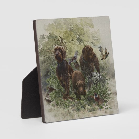 The Pudelpointer Fotoplaat (Voorkant)