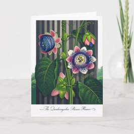 The Quadrangular Passion Flower Modern Botanical Kaart