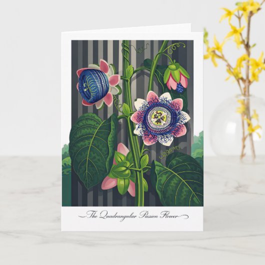 The Quadrangular Passion Flower Modern Botanical Kaart (Gele Bloem)