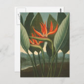 "The Queen (Bird of Paradise)" - Temple of Flora Briefkaart (Voorkant / Achterkant)