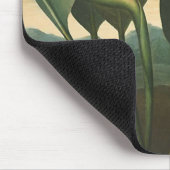 "The Queen (Bird of Paradise)" - Temple of Flora Muismat (Hoek)