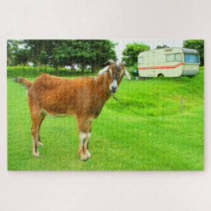 THE QUIRKY GOAT 20x30 INCH Legpuzzel