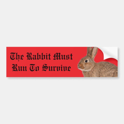 The rabbit must run to survive bumper sticker (Voorkant)
