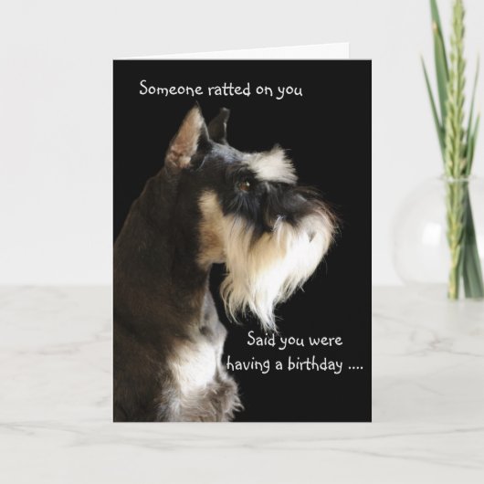 The ratter ... kaart (Voorkant)