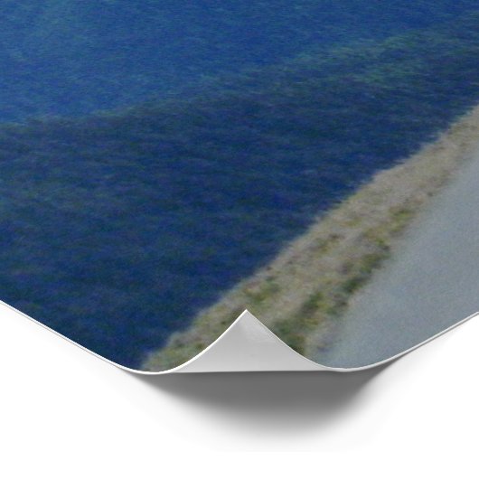 The Raven Poster (Hoek)