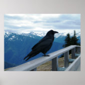 The Raven Poster (Voorkant)