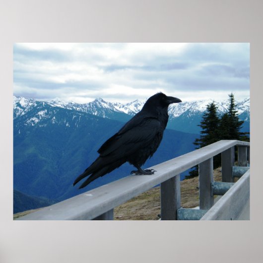 The Raven Poster (Voorkant)