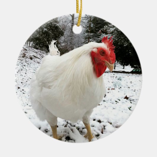 The Real Boo the Roo Christmas ornament (Voorkant)