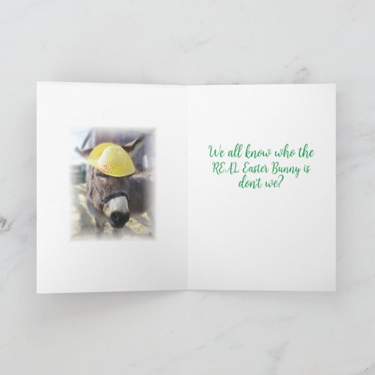 "The Real Easter Bunny" Holiday Kaart (Binnen)