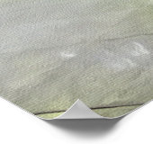 The Rebbe Dances Poster (Hoek)