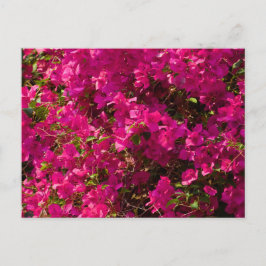 The red flowers of Luang Prabang Feestdagenkaart