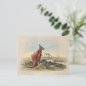 The Red Kangaroo door Joseph Wolf Briefkaart (Staand voorkant)