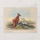 The Red Kangaroo door Joseph Wolf Briefkaart (Voorkant)