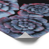 The Red Queen Original Wonderland Poster (Hoek)