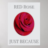 THE RED Rose Poster (Voorkant)