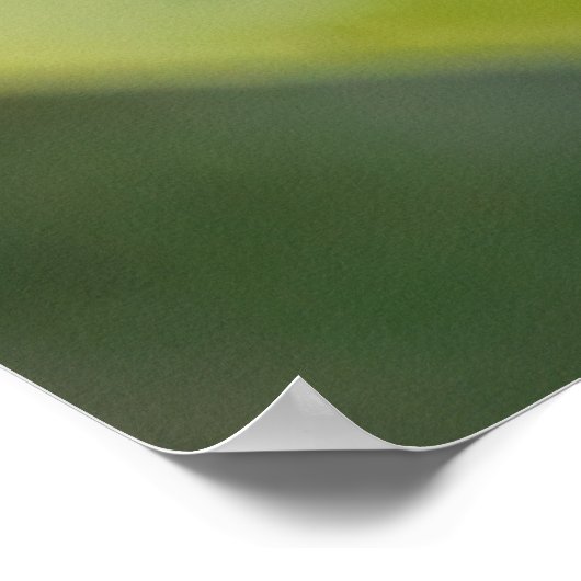 The Red Zinnia Poster (Hoek)