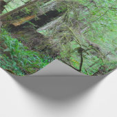 The Redwood - Sequoia Cadeaupapier (Hoek)