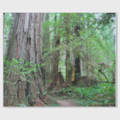 The Redwood - Sequoia Cadeaupapier (Vlak)