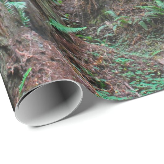 The Redwood - Sequoia Cadeaupapier (Rol Hoek)